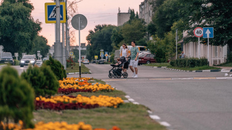 В Нововоронеже обновили цифровую платформу «Умный город»