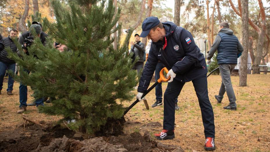 Председатель Воронежской облдумы Юрий Матузов и депутаты регионального парламента приняли участие в общеобластном субботнике