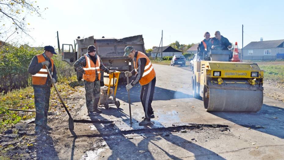 В эртильском селе на ремон дорог выделили 2 млн рублей из облбюджета