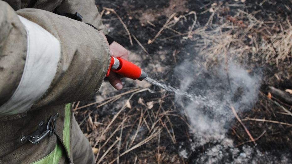 Бушующий больше суток лесной пожар в Борисоглебске Воронежской области локализовали