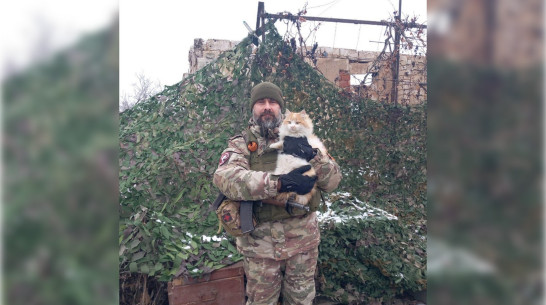 «Всюду ходил за мной, ничего не боялся». Воронежец рассказал, как вернулся с СВО с рыжим котом