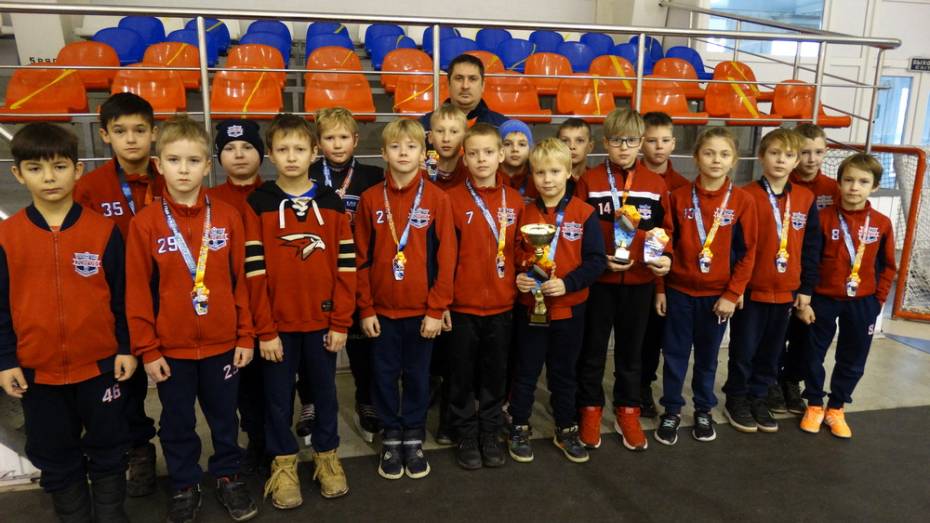 Бобровские хоккеисты победили на межрегиональном детском турнире в Орле