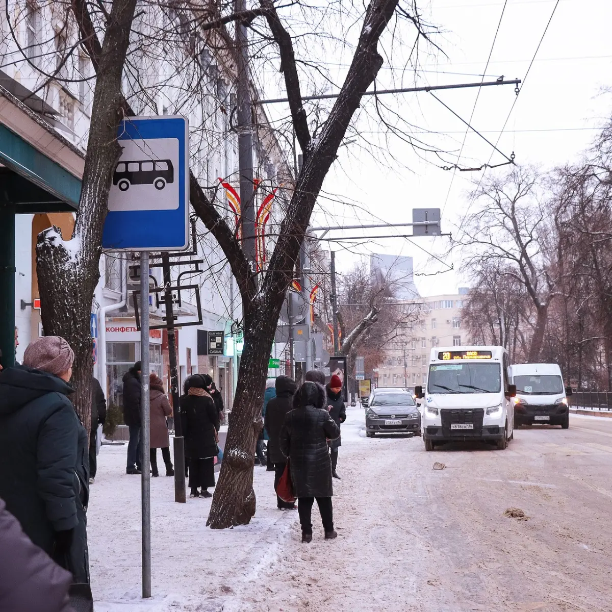 В Воронеже появятся три новых автобусных маршрута