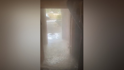 Потоки горячей воды сняли на видео в подъезде дома по улице Менделеева в Воронеже
