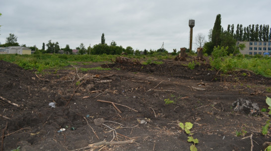 Власти Нижнедевицкого района взялись за зоны отдыха