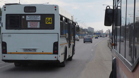 В Воронеже изменят 7 пригородных автобусных маршрутов на 9 Мая