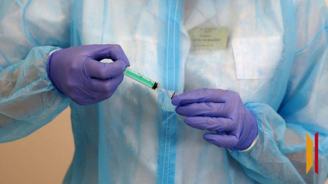 В Воронежской области открыли горячую линию для профилактики болезней при поездках в тропические страны