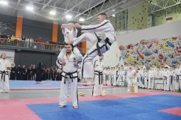 В Воронежских играх боевых искусств состязались около 1,5 тыс спортсменов