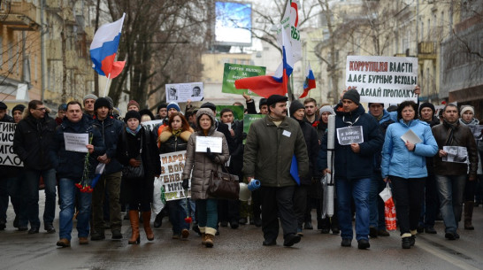 Участников антикризисного митинга в Воронеже попытались облить зеленкой