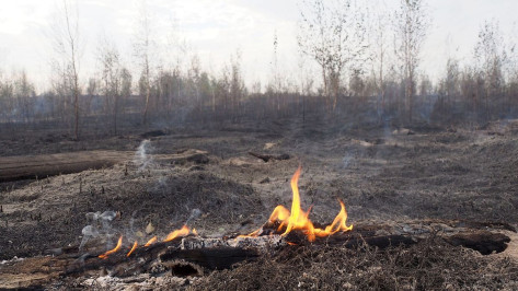 Половина Воронежской области осталась в зоне максимальной пожарной опасности