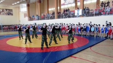 Подгоренцы завоевали 10 медалей на областном турнире по греко-римской борьбе