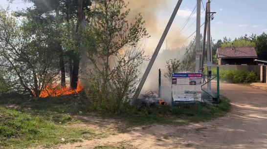 Пожар в СНТ «Энергия» под Воронежем сняли на видео