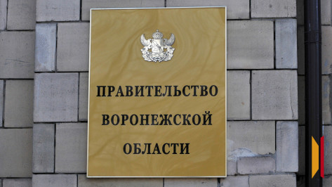 В Воронежской области учредили новую награду для граждан и организаций