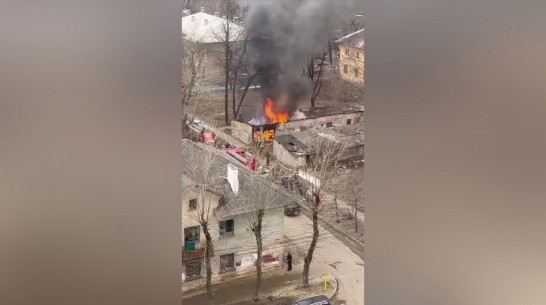 В Воронеже загорелись сараи на улице 9 Января: видео