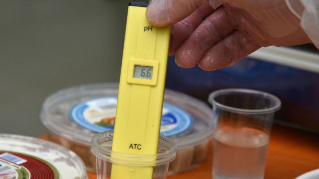 Воронежские санитарные врачи сняли с продажи 6 тонн опасных продуктов