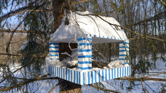 Воронежцы пройдут 15 километров, чтобы накормить птиц