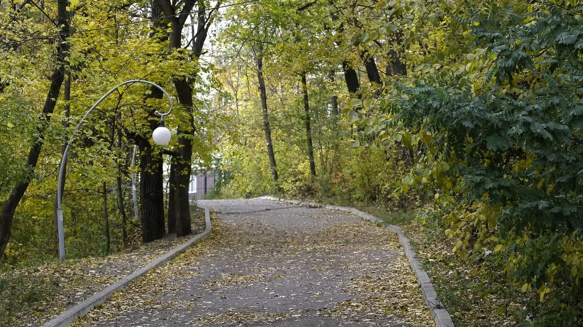 Осенний Воронеж Фотографии