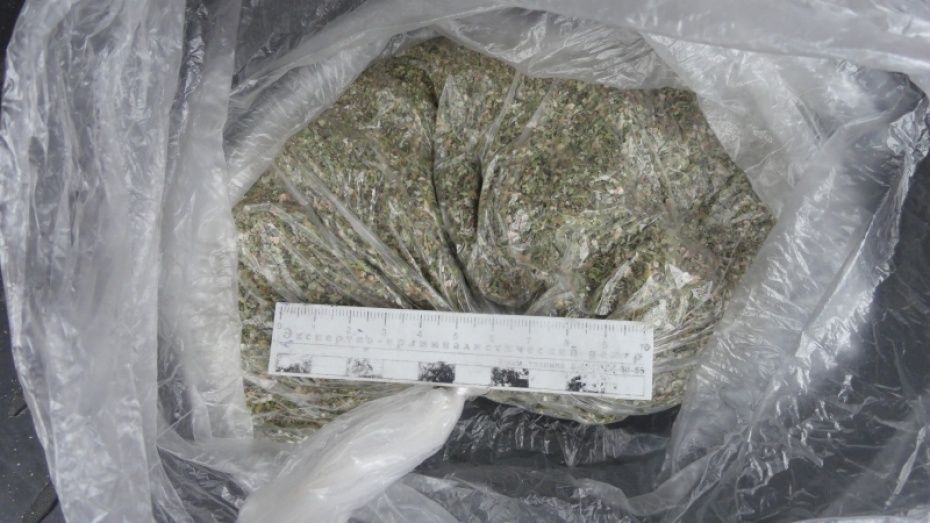 Безработный житель Воронежской области попался с 1,5 кг марихуаны
