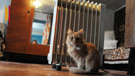 Воронежская область побила рекорд по потреблению электричества из-за мороза