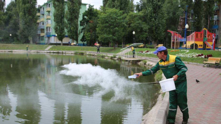 В воронежский водоем на улице Минская запустили бактерии