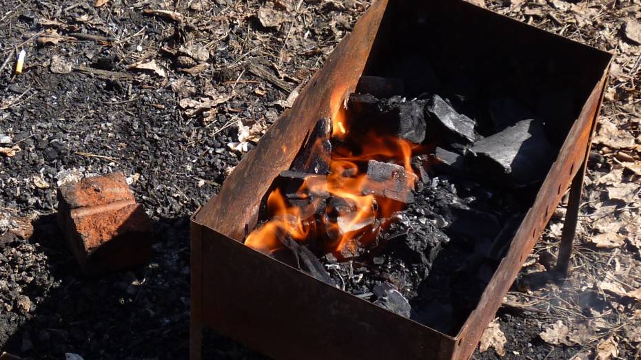 В Острогожске дети получили сильные ожоги, когда их папа разжигал костер для шашлыка