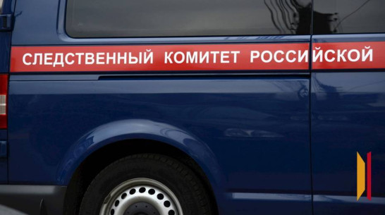 Глава СК запросил доклад по делу об избиении 13-летнего подростка в Воронеже