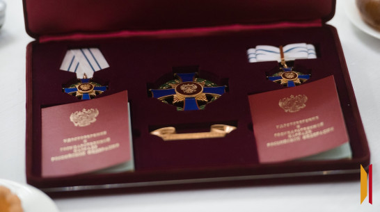Многодетные воронежцы получили орден «Родительская слава»