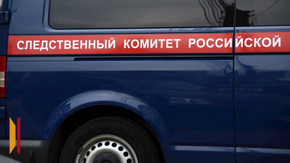 Александр Бастрыкин потребовал доклад об уголовном деле о нарушении прав жильцов исторического дома в Воронеже