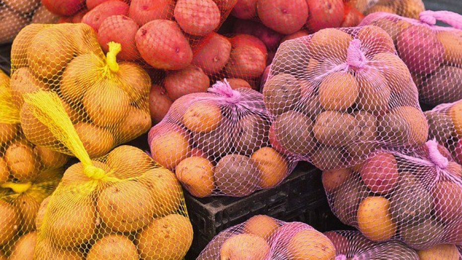 ГК «Логус» обеспечит воронежские магазины 8 тыс т овощей