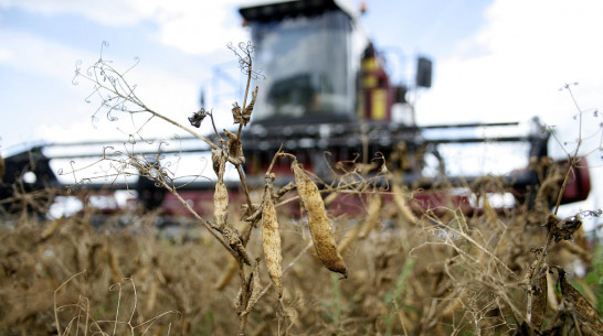 Государство поддержит воронежских аграриев в связи с ростом цен на топливо
