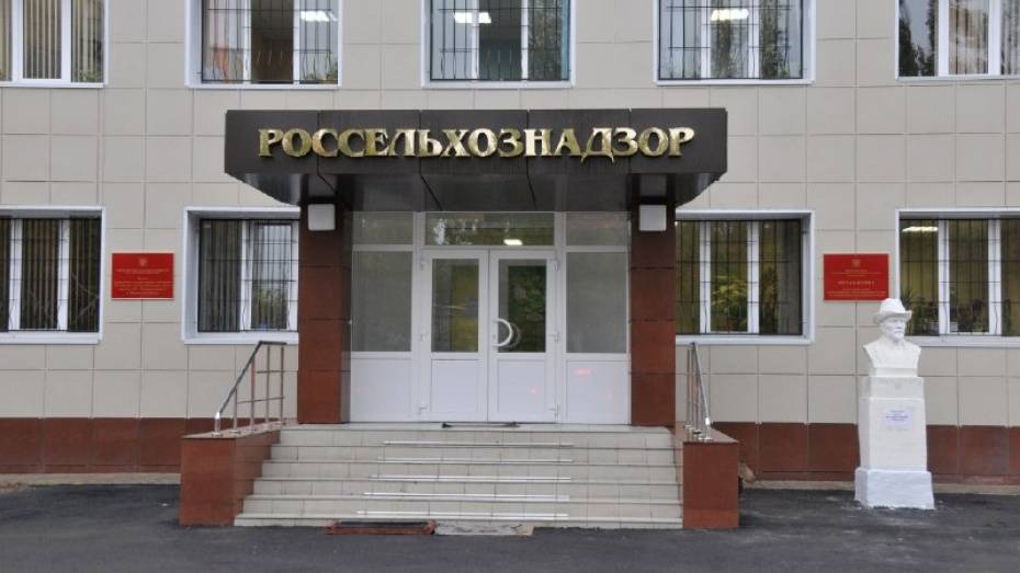 Воронежскую компанию «Заречное» оштрафовали за незаконный ввоз 23 т пшеничных отрубей