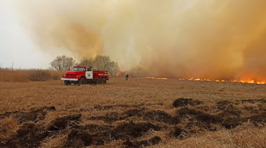 В Воронежской области с ландшафтным пожаром на площади более 100 га боролись 5 часов