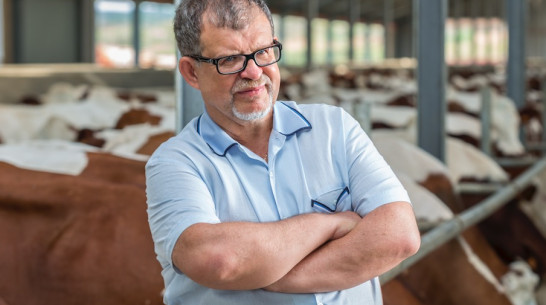 Депутат Аркадий Пономарев рассказал о развитии АПК Воронежской области