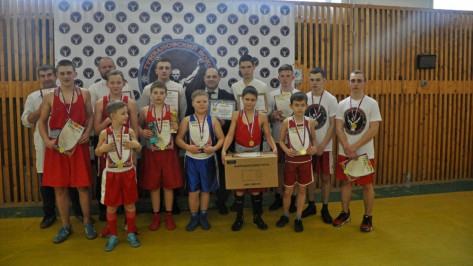Грибановские боксеры выиграли 11 золотых медалей на межрегиональном турнире