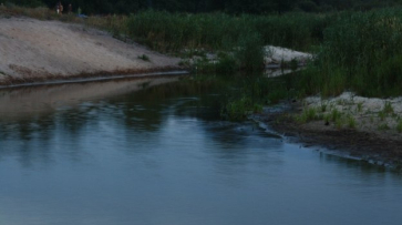 В Воронежской области расчистят русла рек для их оздоровления  