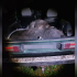 В Воронежской области задержали браконьеров с 2 тушами кабанов в багажнике авто