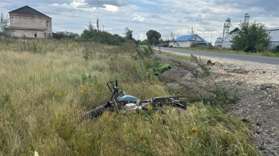 Под Воронежем КамАЗ влетел в мопед: пострадали двое подростков