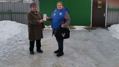 Члены избирательных комиссий начали подомовый обход жителей Воронежской области