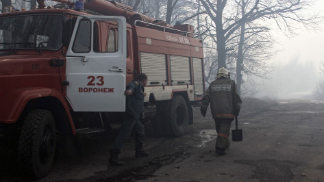 В зону риска лесных и ландшафтных пожаров вошли 847 населенных пунктов Воронежской области