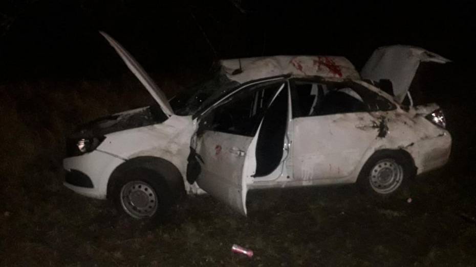 В Воронежской области москвич на «Ладе» врезался в микроавтобус и вылетел в кювет