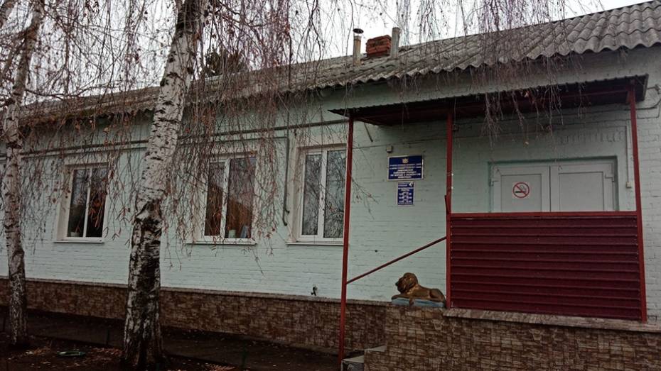 В павловском селе Елизаветовка объявили карантин по бешенству из-за домашней кошки