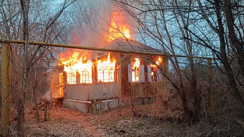 Обгоревшее тело 68-летней женщины обнаружили спасатели в воронежском селе