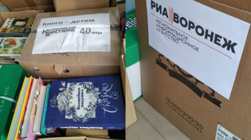 Сотрудники РИА «Воронеж» собрали 20 коробок книг для детей ЛНР
