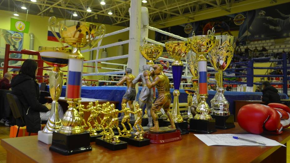 Трехдневный турнир по боксу проведут в Павловске