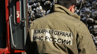 В Воронежской области зарегистрировали ландшафтные пожары в 4 районах