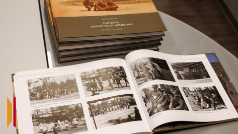 «Все, что происходит, будет историей»: воронежский журналист Виктор Руденко презентовал свою новую книгу