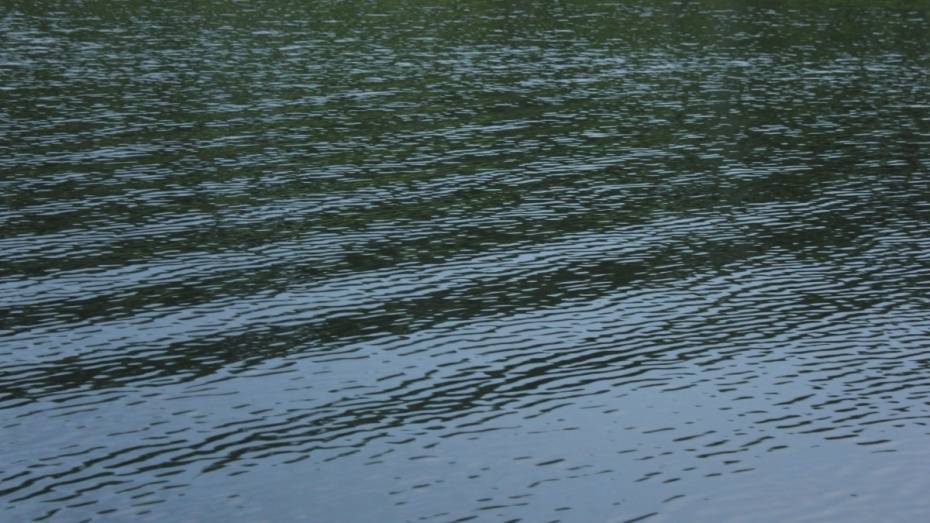 В Воронежском водохранилище утонул 34-летний мужчина