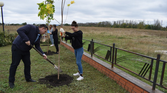 В 14 поселениях Калачеевского района высадили 1107 деревьев