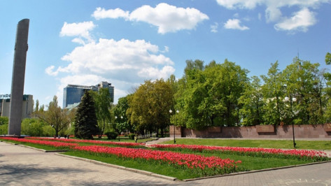 В Воронеже у мемориалов высадят более 77 тыс тюльпанов 