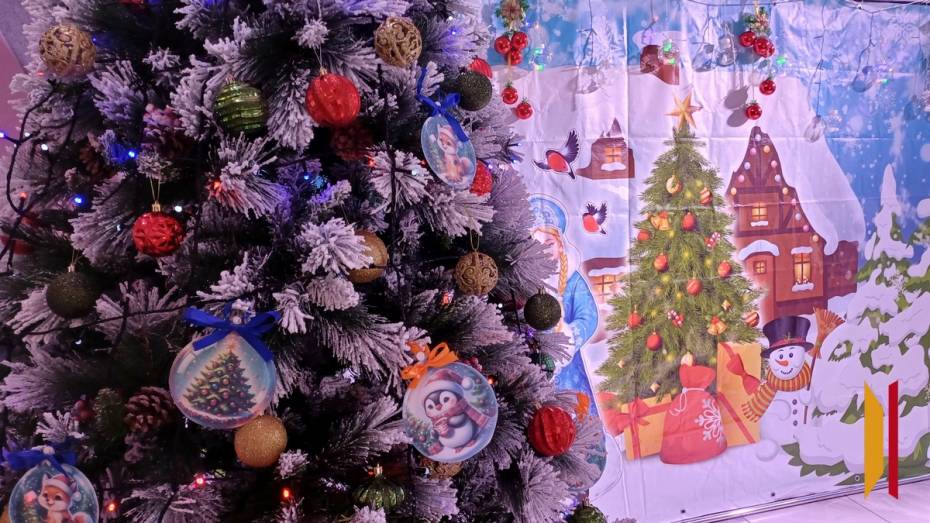 Хохольцев пригласили на новогодние представления